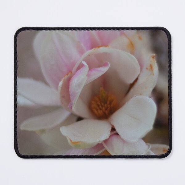 Item preview, Magnolias designed and sold by kry.ative.