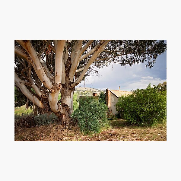 Item preview, Cottage in the Hills designed and sold by Linda Lees.