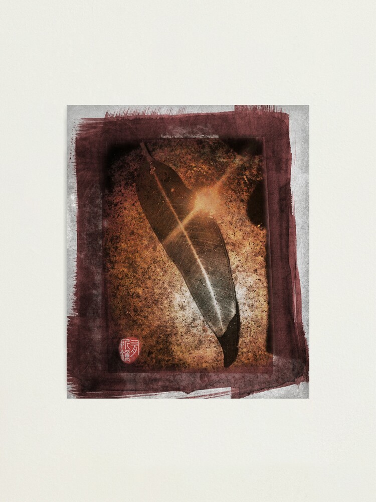 Alternate view of blood leaf dawn Photographic Print