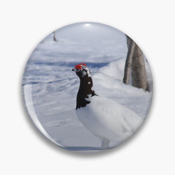 Item preview, White ptarmigan designed and sold by zumi.