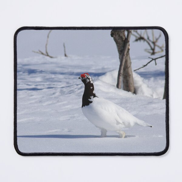 Item preview, White ptarmigan designed and sold by zumi.