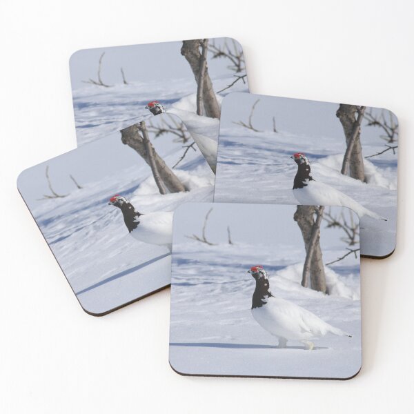 Item preview, White ptarmigan designed and sold by zumi.