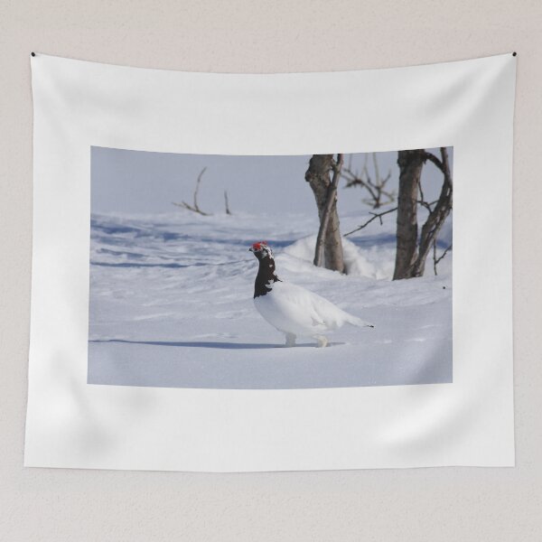 Item preview, White ptarmigan designed and sold by zumi.