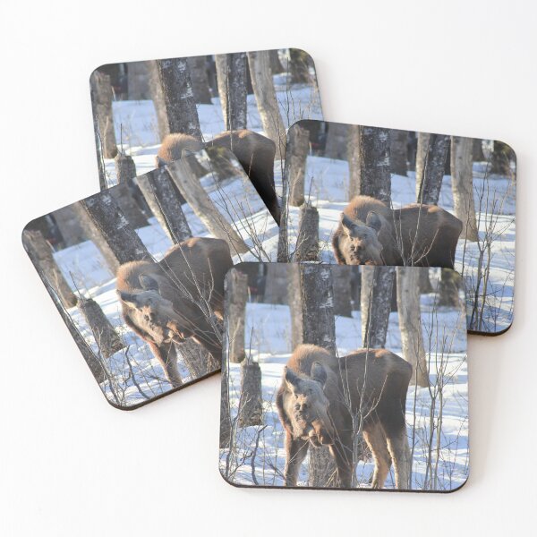 Item preview, Forest living designed and sold by zumi.