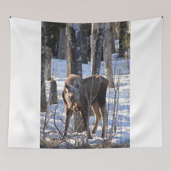 Item preview, Forest living designed and sold by zumi.