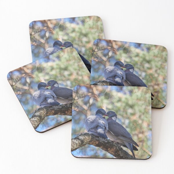 Item preview, Lovebirds. Wood pigeon designed and sold by Jouko Lehto Photography.
