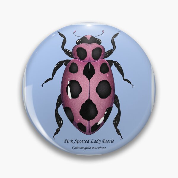 Item preview, Pink Spotted Lady Beetle designed and sold by dinosaphira99.