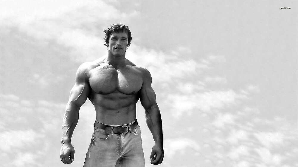 Arnold Schwarzenegger -Total Body Workout- - il CorSaRo Blu Lite