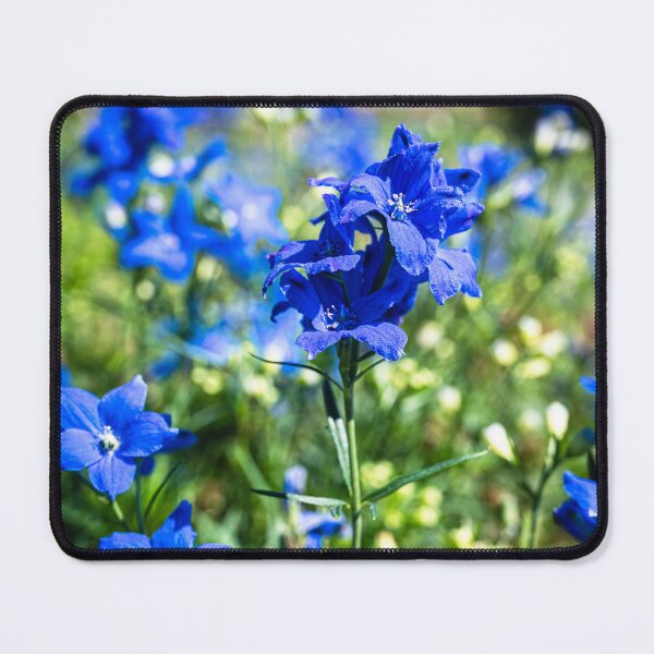 Item preview, Bright Blue Siberian Larkspur designed and sold by HoneyHuesPhotos.