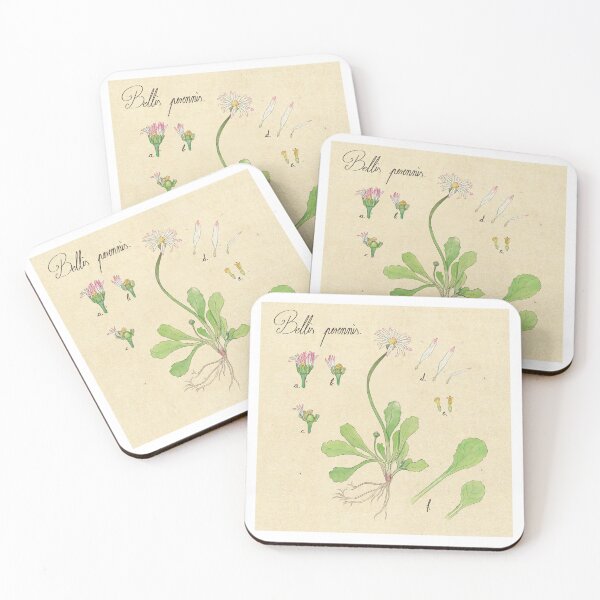 Item preview, Common English Daisy Botanical Flower Illustration designed and sold by Perunika305.