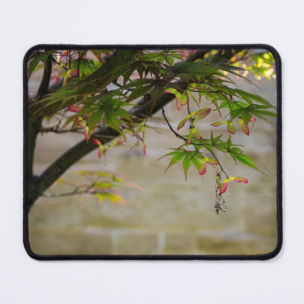 Item preview, Japanese Maple Tree designed and sold by HoneyHuesPhotos.