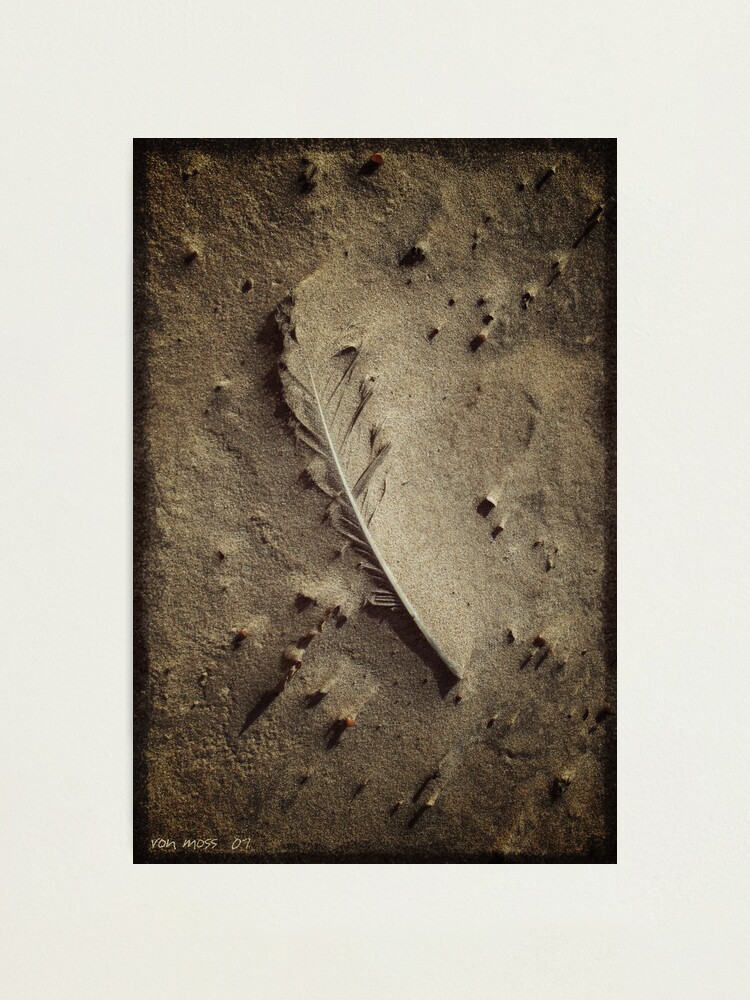 Alternate view of words Photographic Print