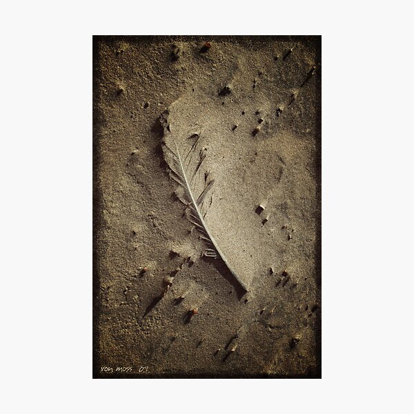 Photographic Print
