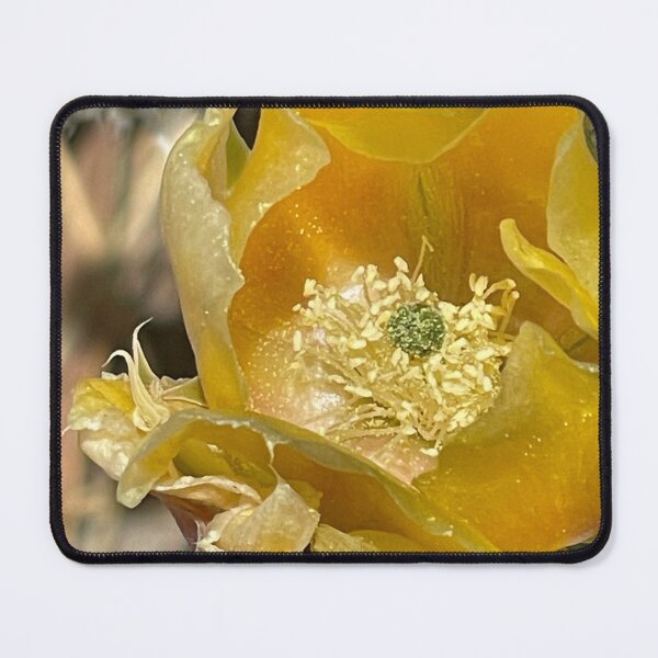Item preview, Yellow Cactus Flower designed and sold by Girlfriendrock.