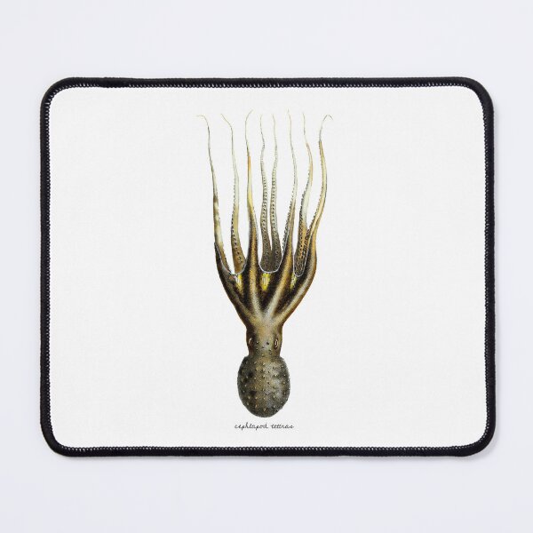 Item preview, Cephalopods designed and sold by ArtShare.