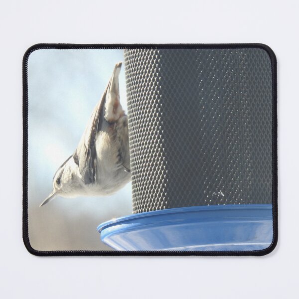 Item preview, Nuthatch designed and sold by Faunagraphy360.