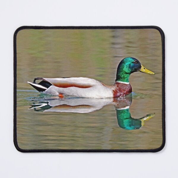 Item preview, Mallard On The Pond designed and sold by Deb Oppermann.