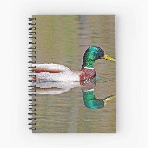 Item preview, Mallard On The Pond designed and sold by Deb Oppermann.