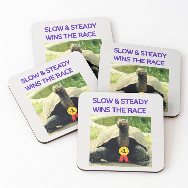 Item preview, Slow & Steady Wins the Race designed and sold by Planet Agora.