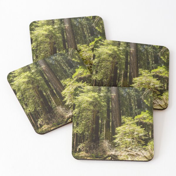 Item preview, Muir Woods Redwood Tree Vertical Panorama California National Park Photography designed and sold by maddiebusick.