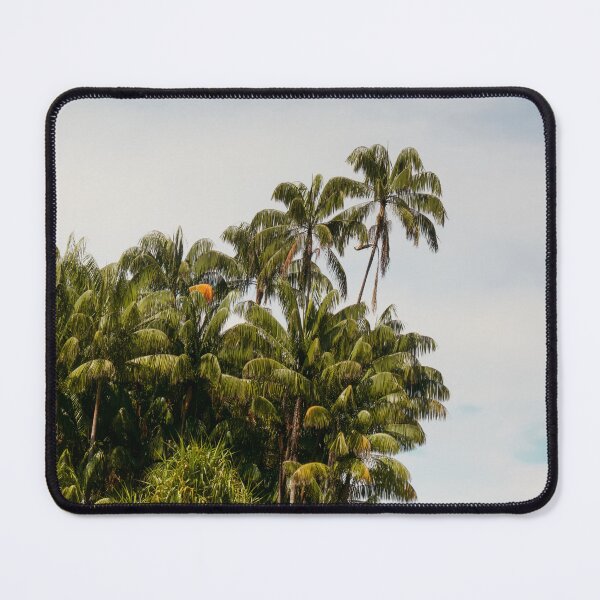 Item preview, Tall Tall Palm Trees designed and sold by Kenzo Hosomi.