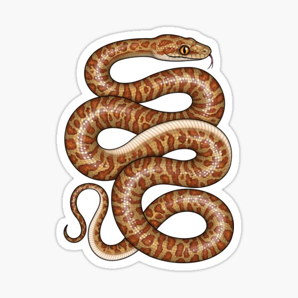 Item preview, Children’s Python designed and sold by miss-varanus.