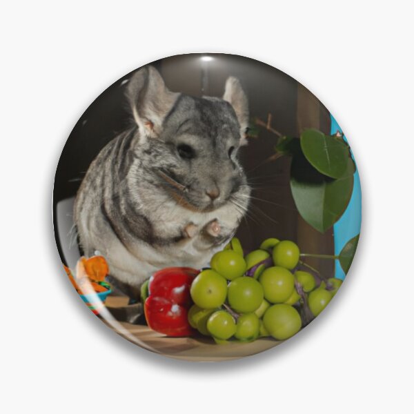 Item preview, Still Portrait Chinchilla designed and sold by katiebca2.