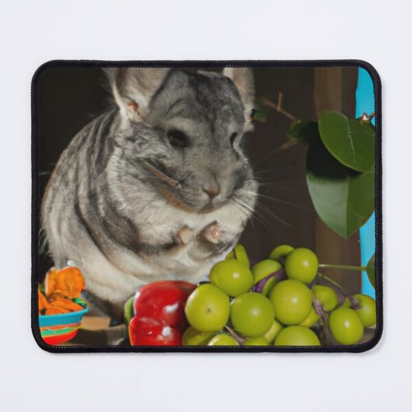 Item preview, Still Portrait Chinchilla designed and sold by katiebca2.