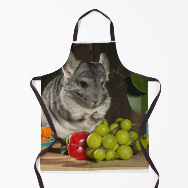 Item preview, Still Portrait Chinchilla designed and sold by katiebca2.