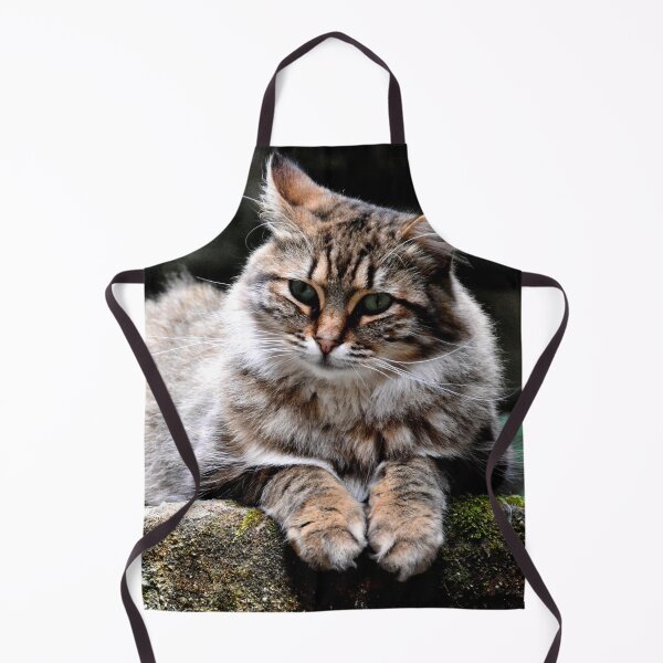 Item preview, France - Conques designed and sold by franck380.