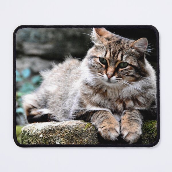 Item preview, France - Conques designed and sold by franck380.