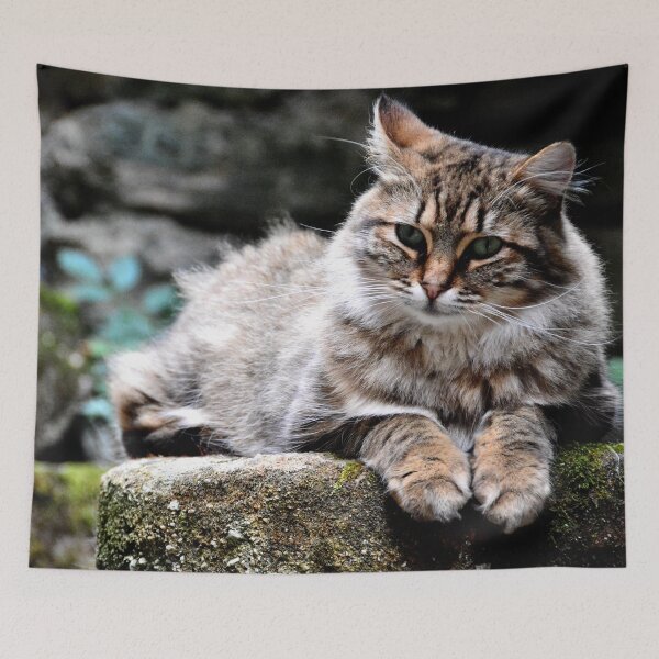 Item preview, France - Conques designed and sold by franck380.