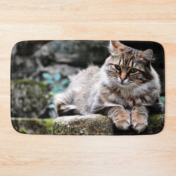 Item preview, France - Conques designed and sold by franck380.