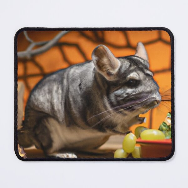 Item preview, Still Portrait Chinchilla designed and sold by katiebca2.
