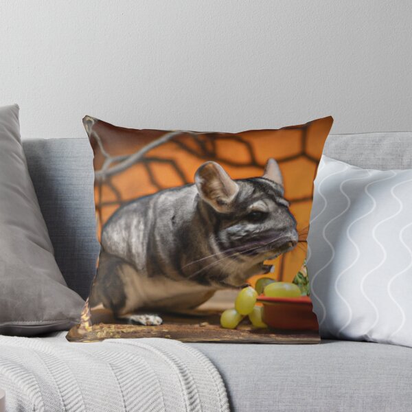 Item preview, Still Portrait Chinchilla designed and sold by katiebca2.