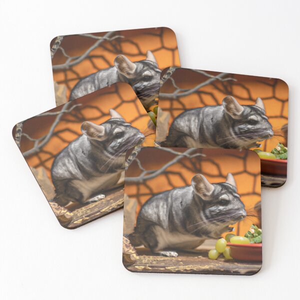 Item preview, Still Portrait Chinchilla designed and sold by katiebca2.