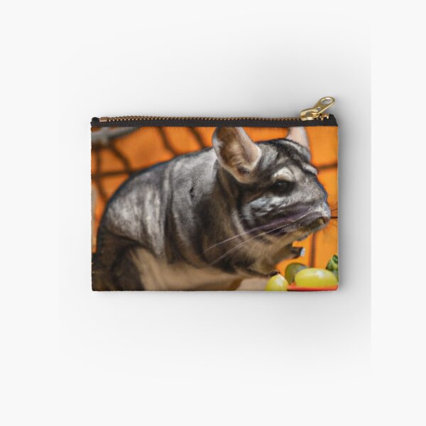 Item preview, Still Portrait Chinchilla designed and sold by katiebca2.
