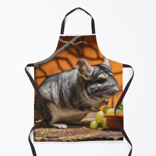 Item preview, Still Portrait Chinchilla designed and sold by katiebca2.