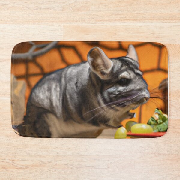 Item preview, Still Portrait Chinchilla designed and sold by katiebca2.
