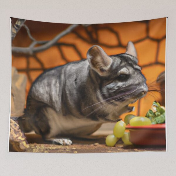 Item preview, Still Portrait Chinchilla designed and sold by katiebca2.