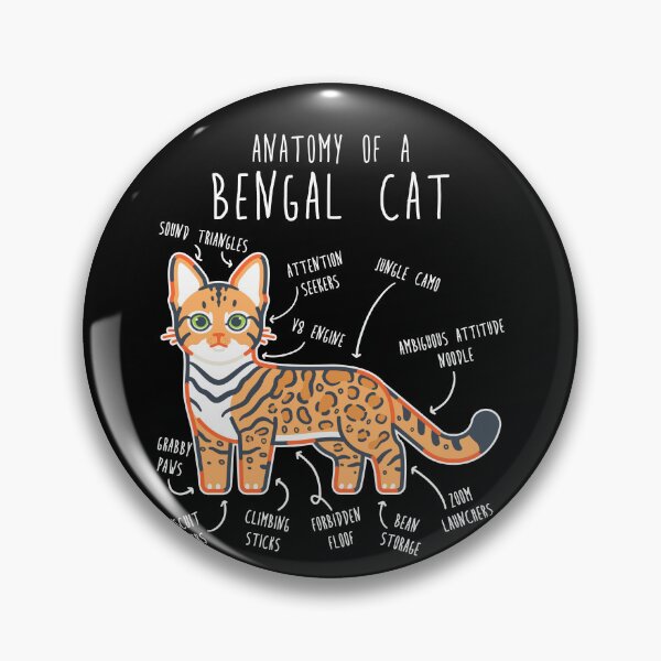 Artikelvorschau, Anatomie der Bengalkatze entworfen und verkauft von Clara Hollins.