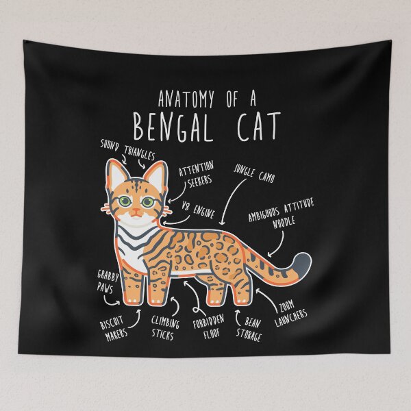 Item preview, Bengal Cat Anatomy designed and sold by Clara Hollins.