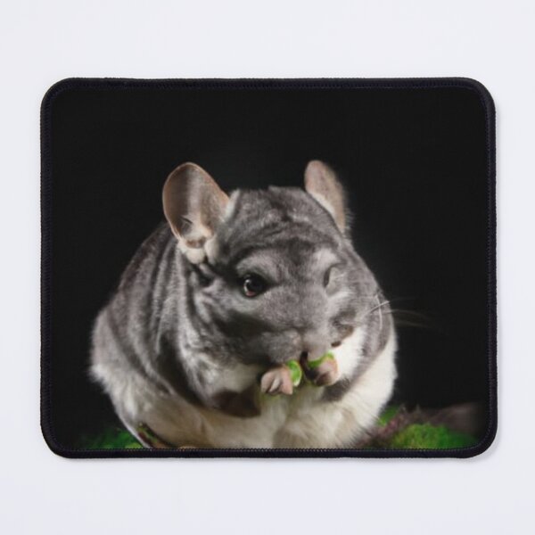 Item preview, Dark Chinchilla designed and sold by katiebca2.