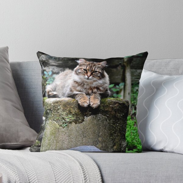 Item preview, France - Conques designed and sold by franck380.