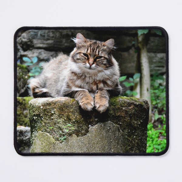 Item preview, France - Conques designed and sold by franck380.