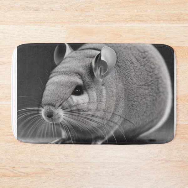 Item preview, Chinchilla Political Poster designed and sold by katiebca2.