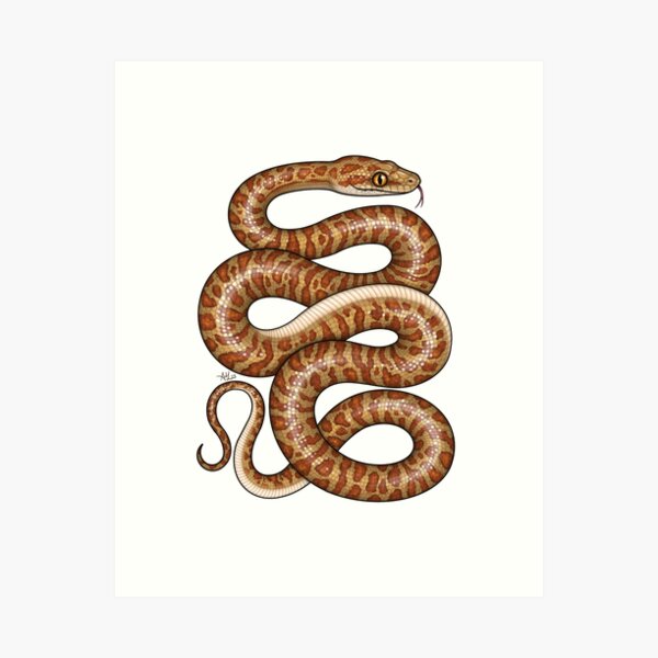 Item preview, Children’s Python designed and sold by miss-varanus.