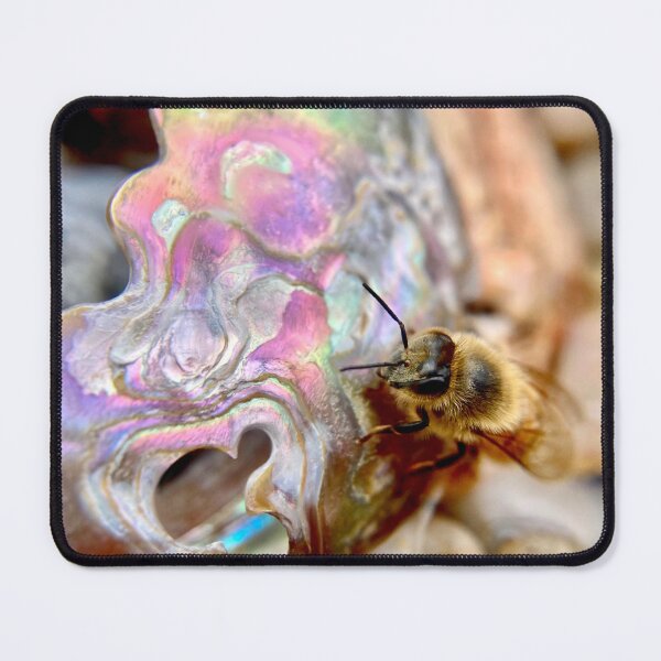 Item preview, Honeybee water bath with abalone shell designed and sold by Katrina Valuyeva.