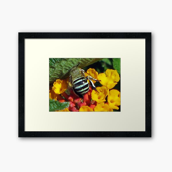 Does my bum look big in this?? Framed Art Print