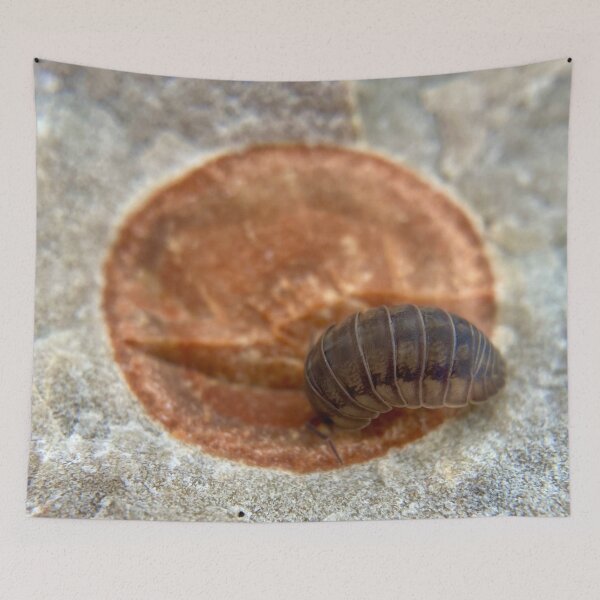 Item preview, Circle of life - zen decomposer the pill bug on a fossil  designed and sold by Katrina Valuyeva.